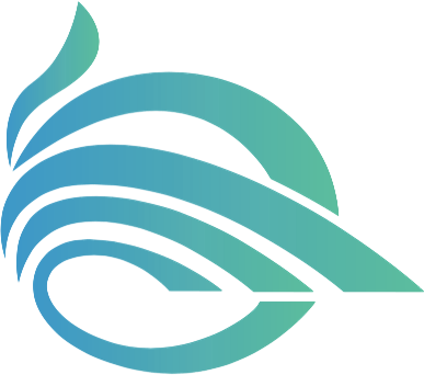 The Apache Software Foundation